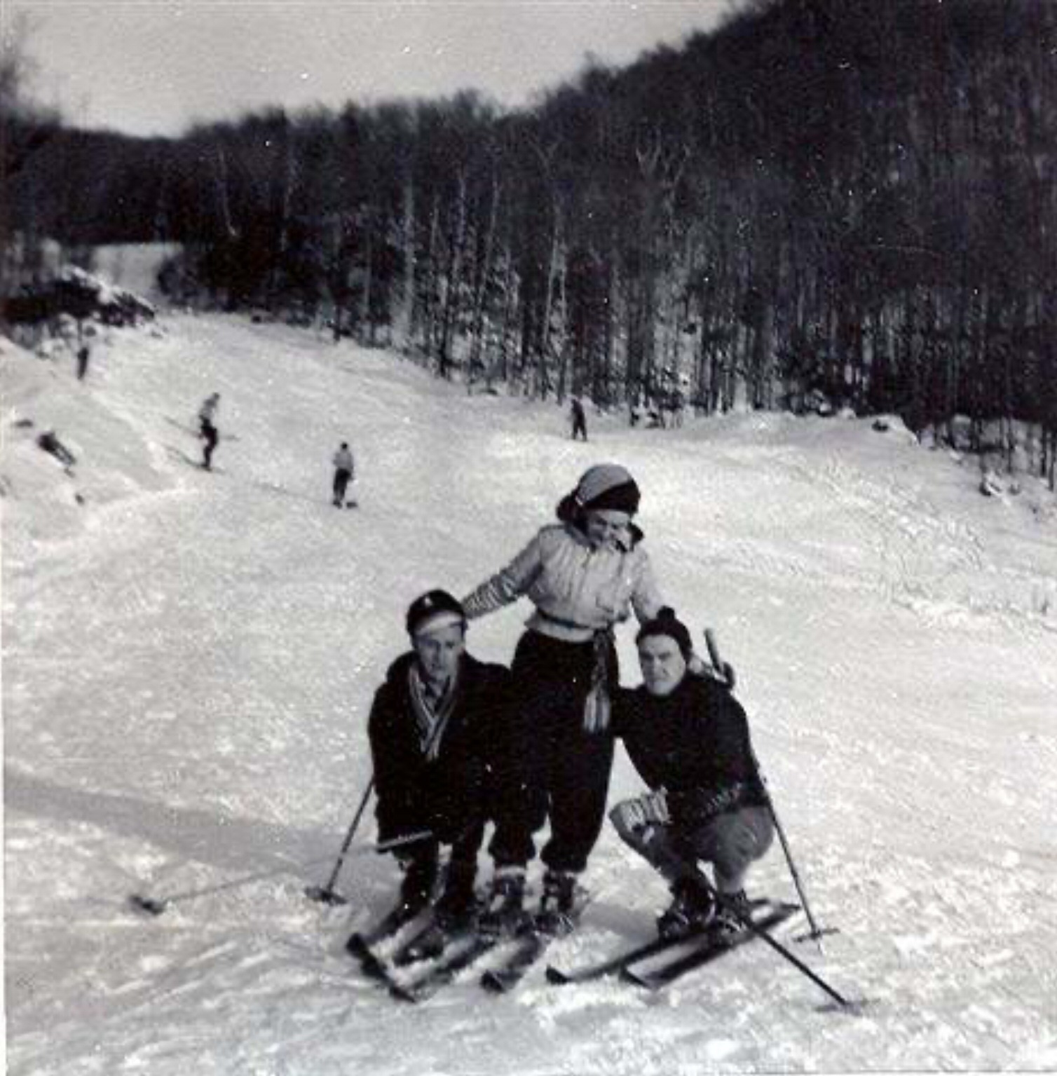 Mont SaintHilaire Zone.Ski