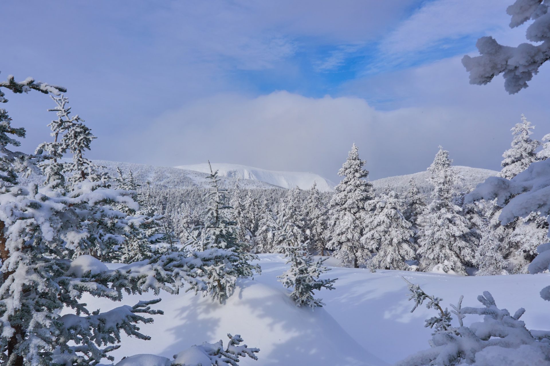 Mont Logan - Un rêve accompli - Zone.Ski