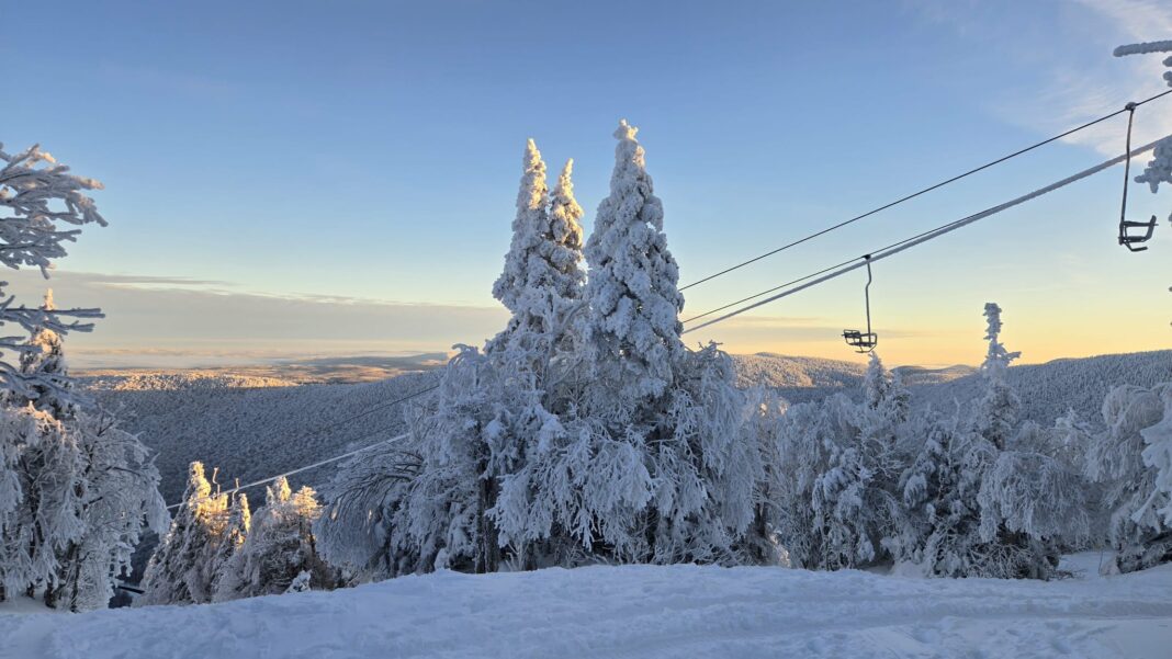 20251120_sutton-840-jfh