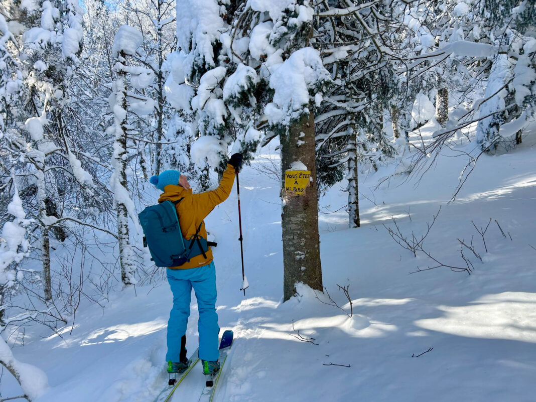 20260129_mds_rando-alpine-04