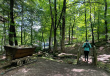 La croix du Mont Rigaud: par la station ou le sanctuaire
